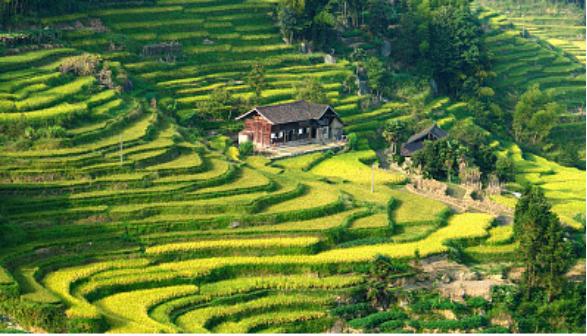 湖南省大洋江新化县二期治理工程与湖南省新化县至紫雀界梯田旅游道路路沿河道生态治理工程