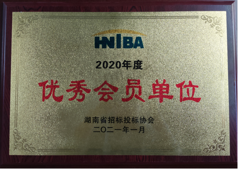 湖南省招标投标协会优秀会员单位（2020年度）