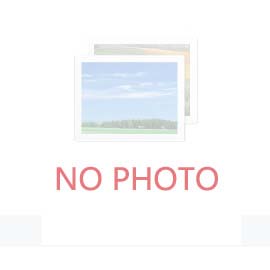 “三八”妇女节活动